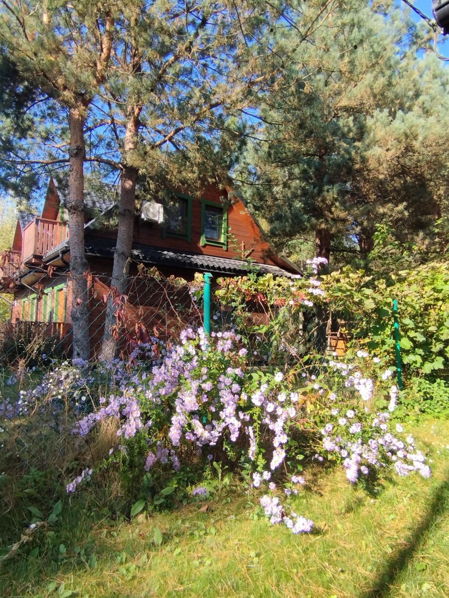 Roztoczanskie Zacisze Kaczorki Exterior photo